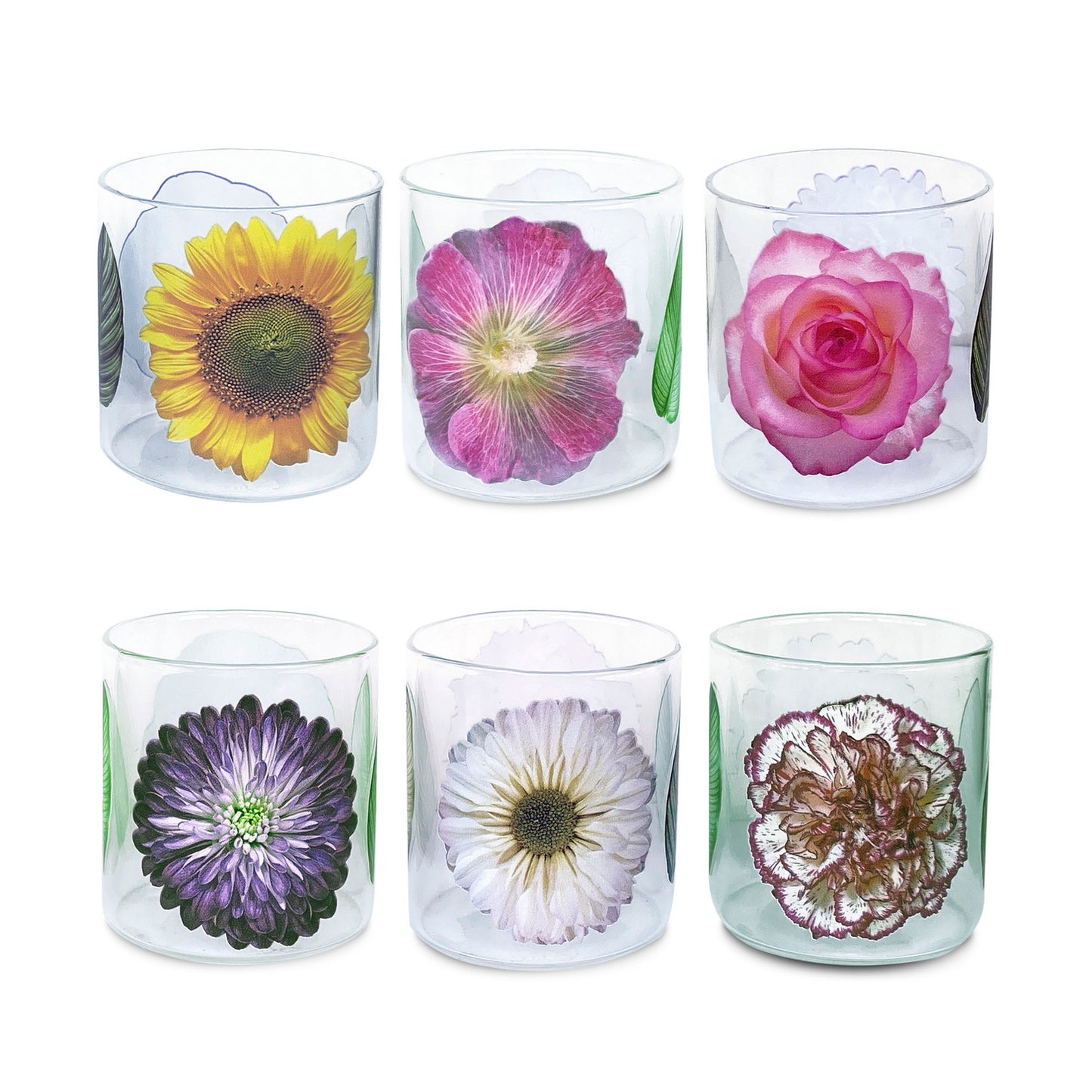 Glasses - Bloom Squat Single Flower (Set of 6)