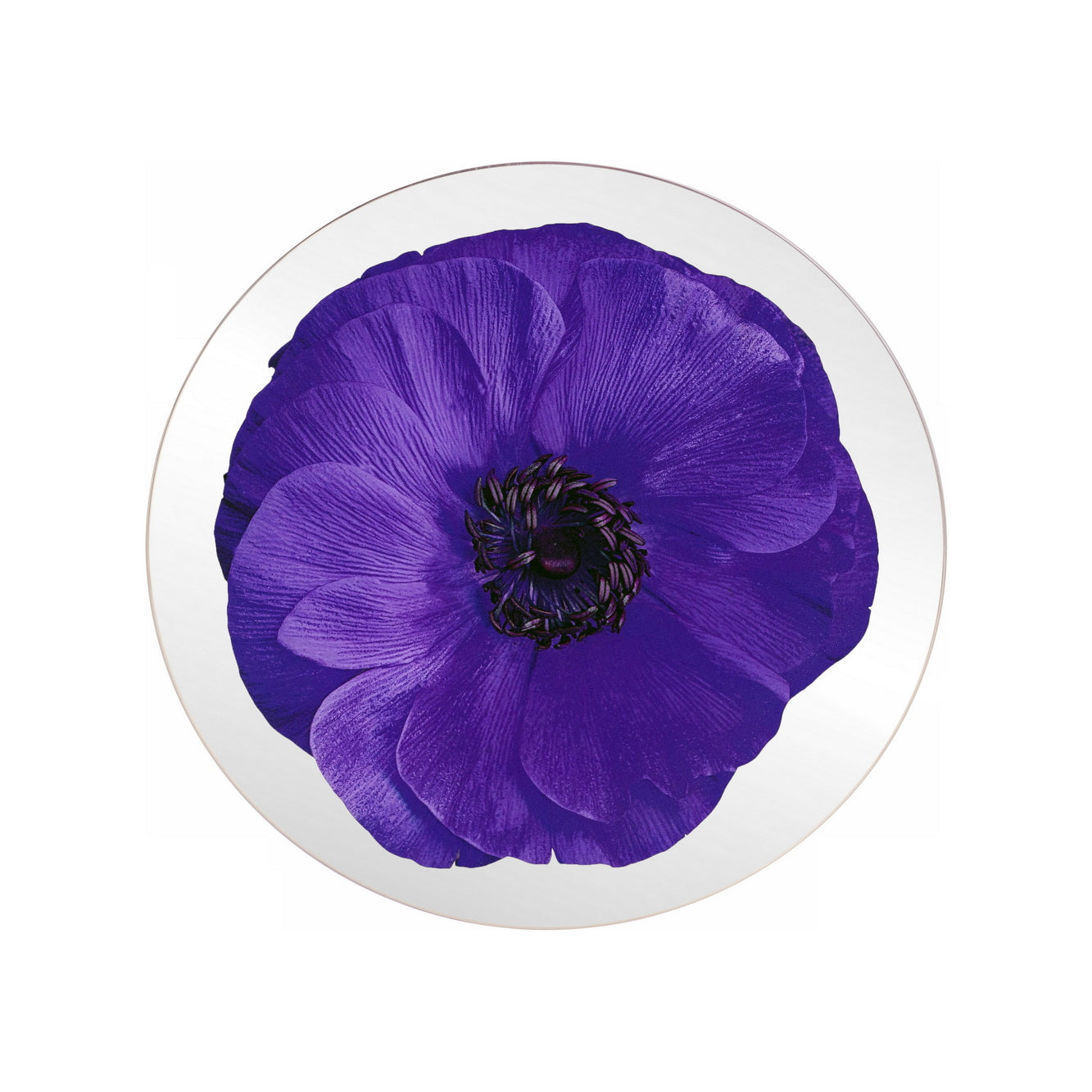 Platters - Bloom Anemone