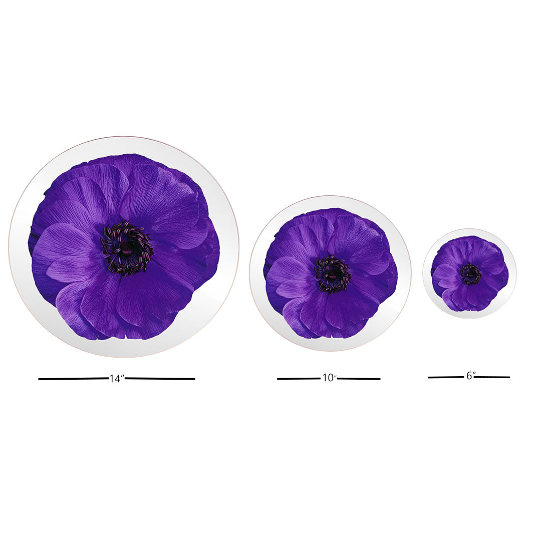Platters - Bloom Anemone