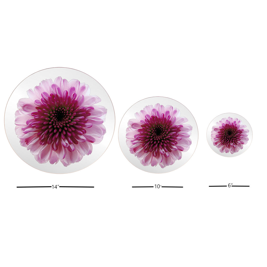 Platters - Bloom Pink Chrysanthemum