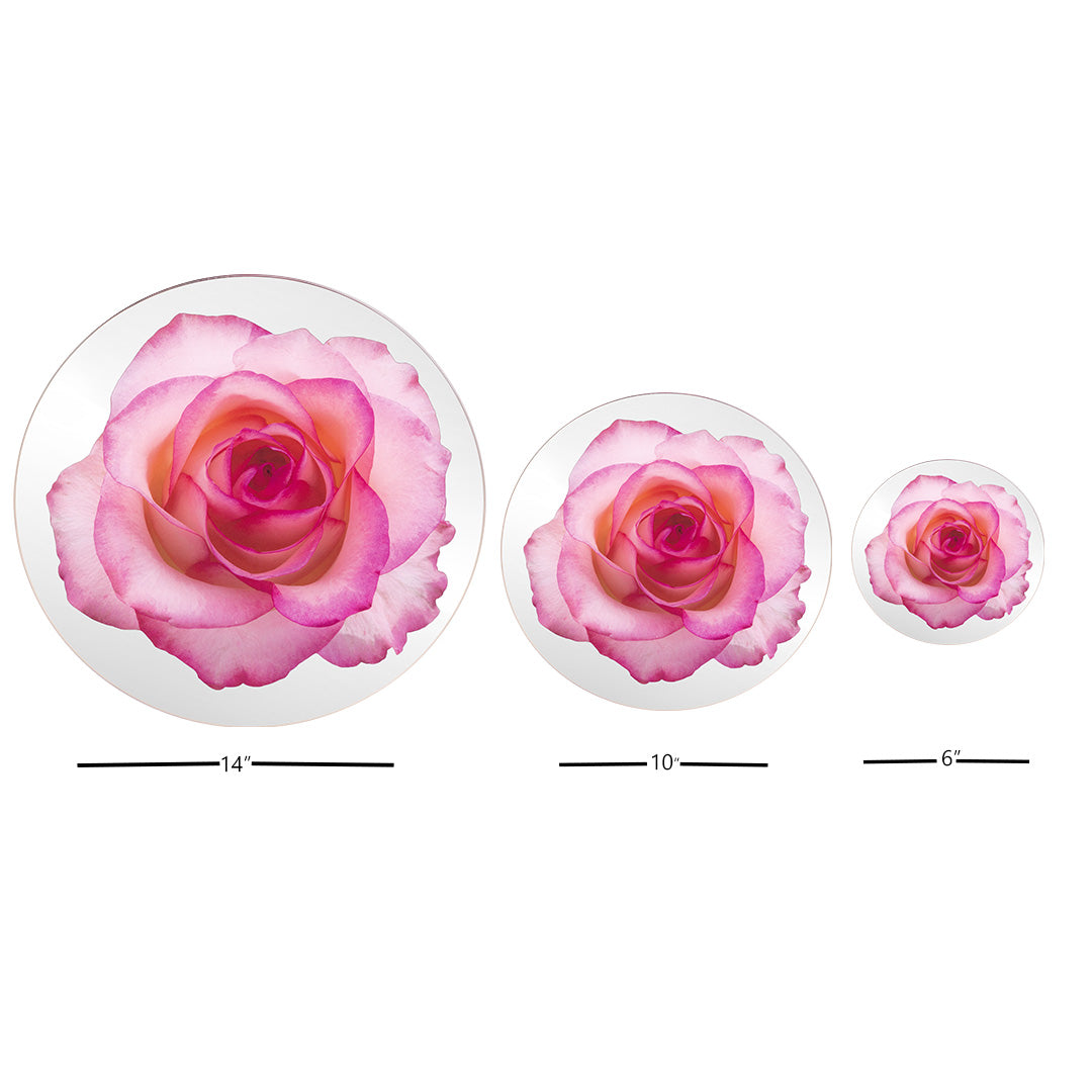 Platters - Bloom Rose