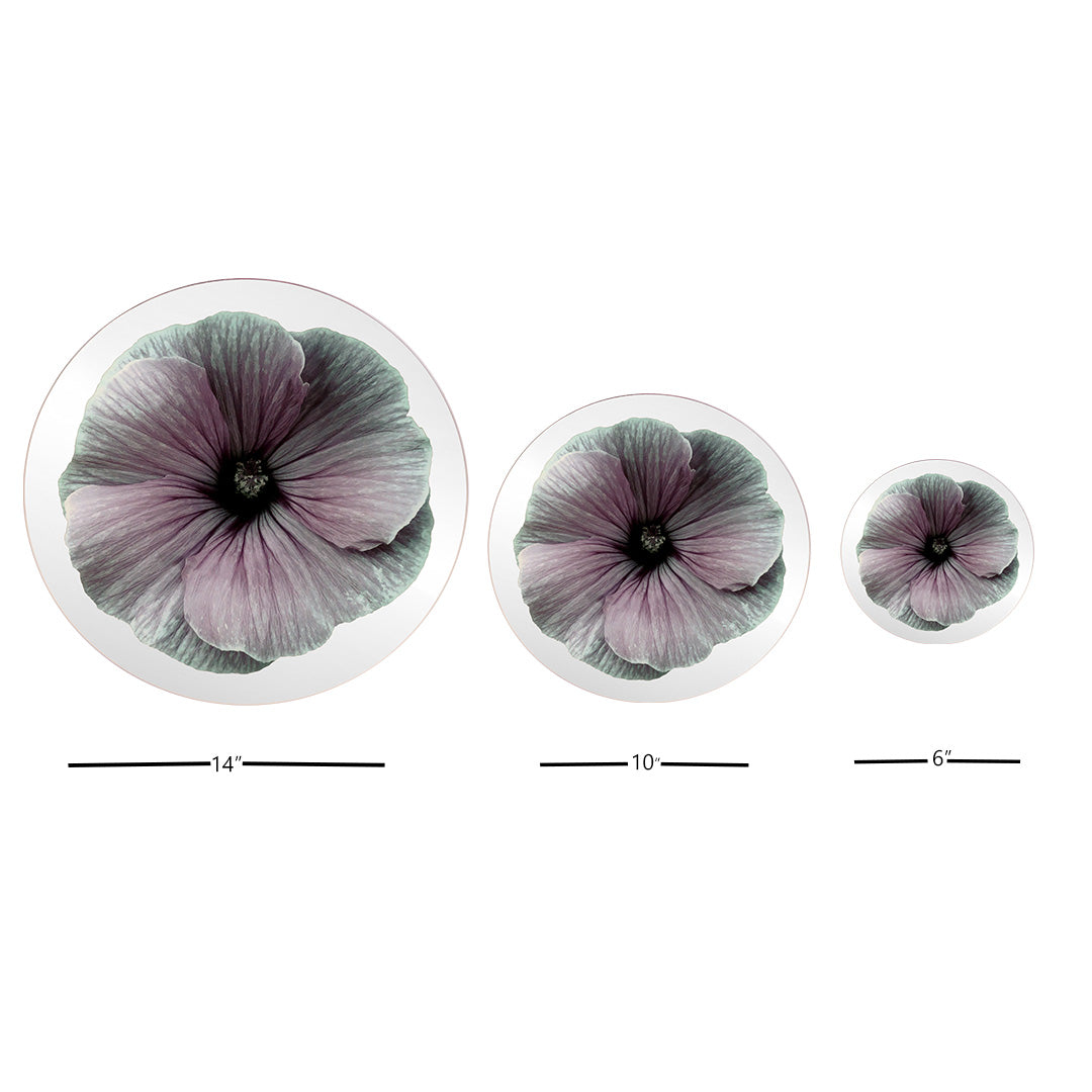 Platters - Bloom Purple Mallow