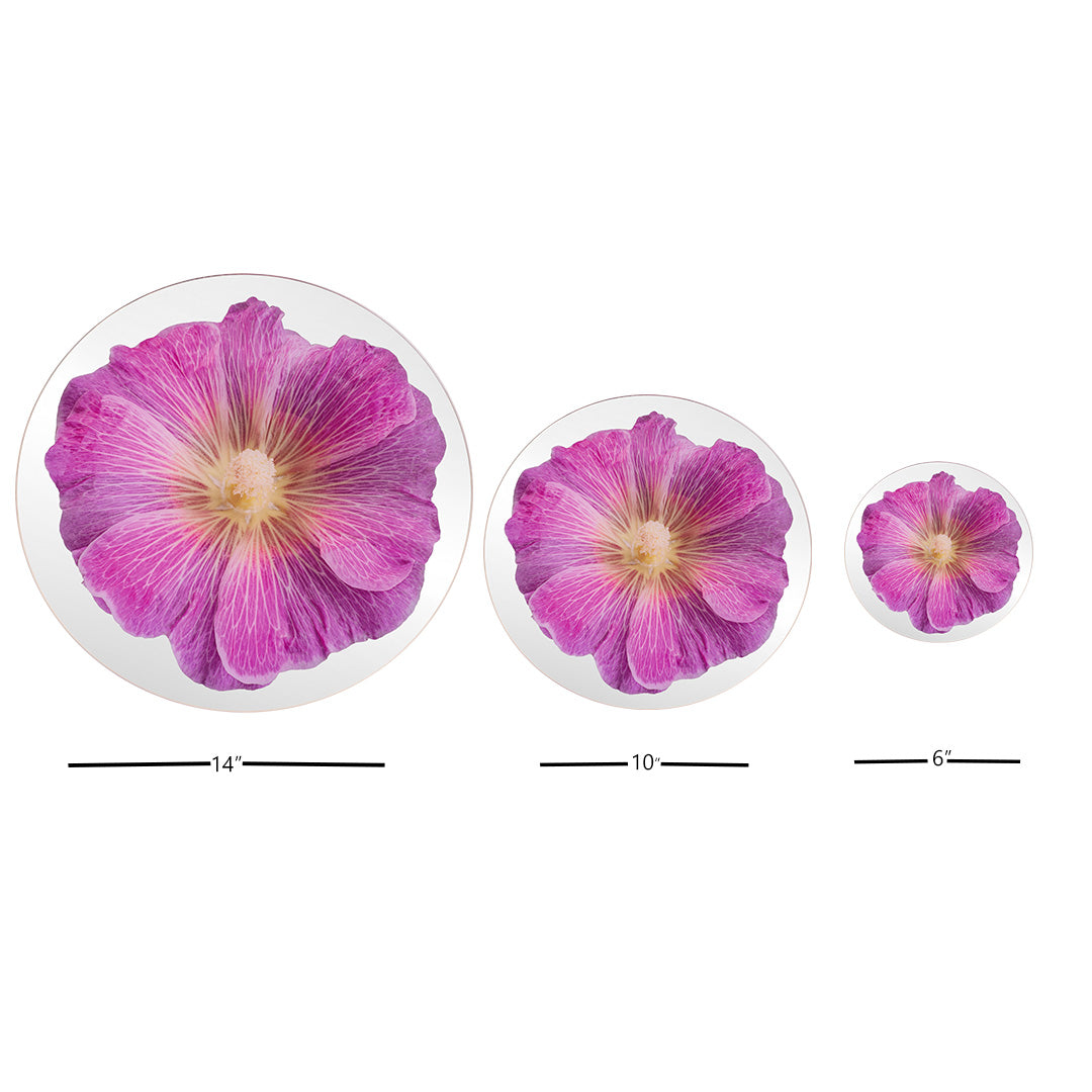 Platters - Bloom Pink Mallow