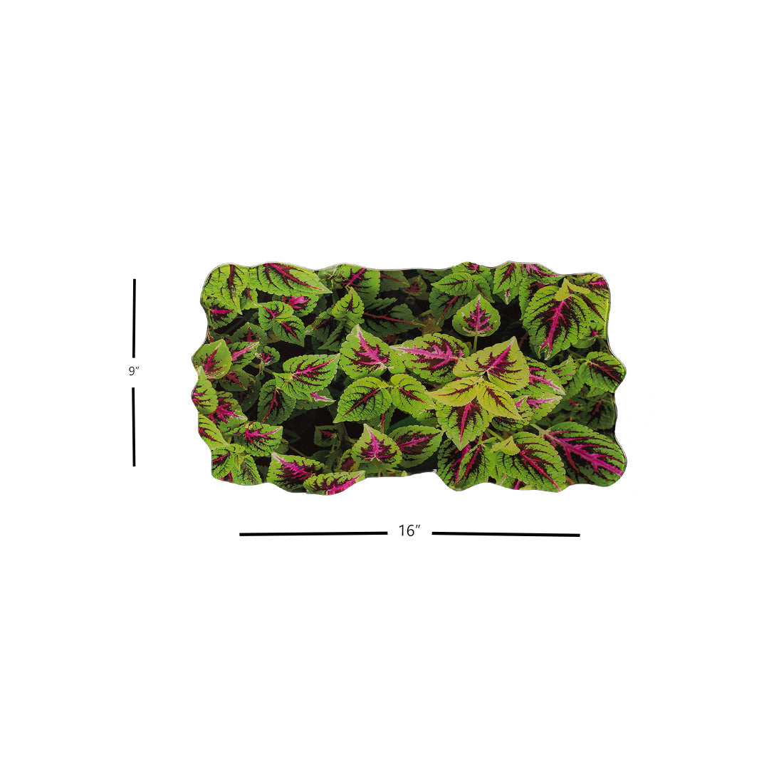 Platter - Classic Glass Mirror Leaves