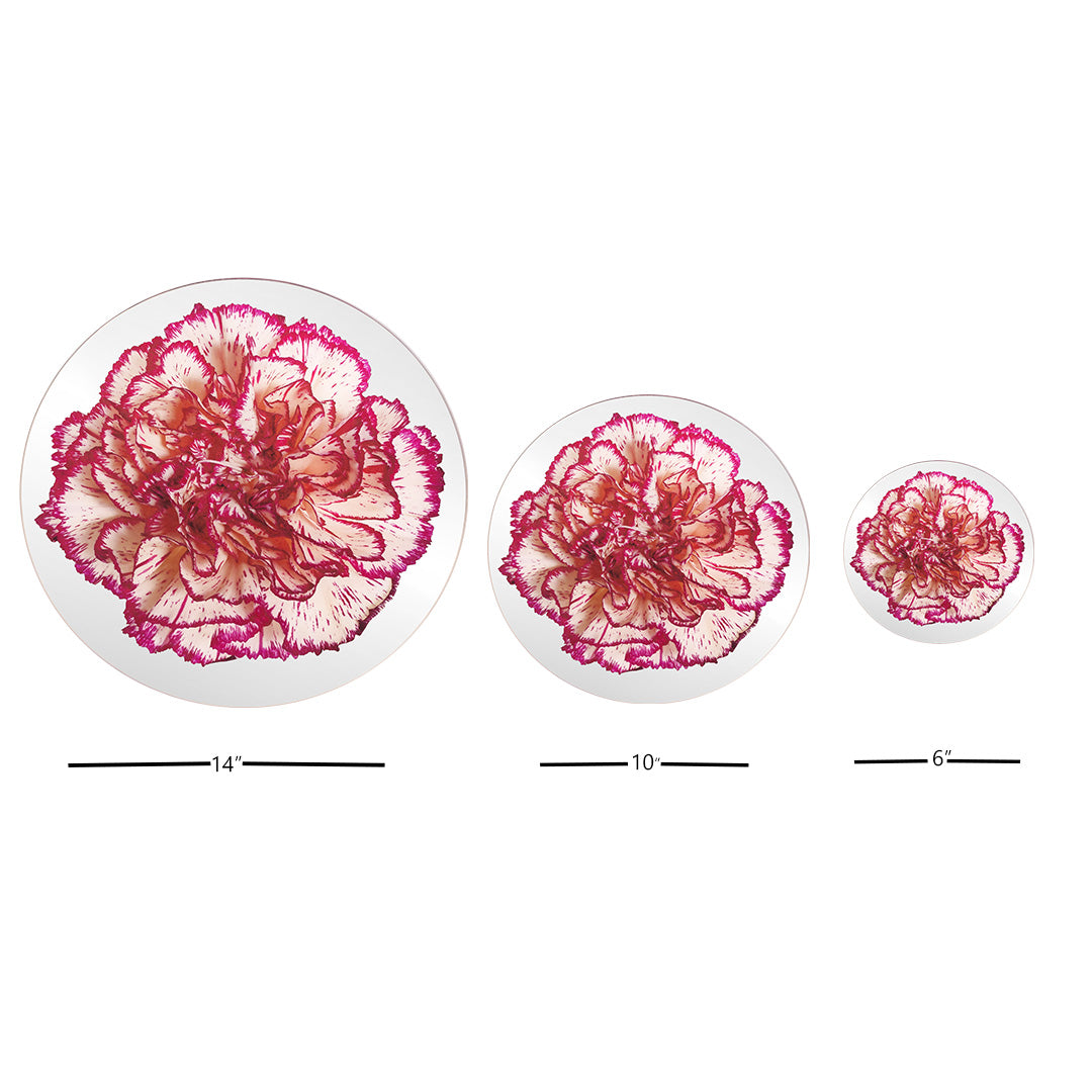 Platters - Bloom Carnation