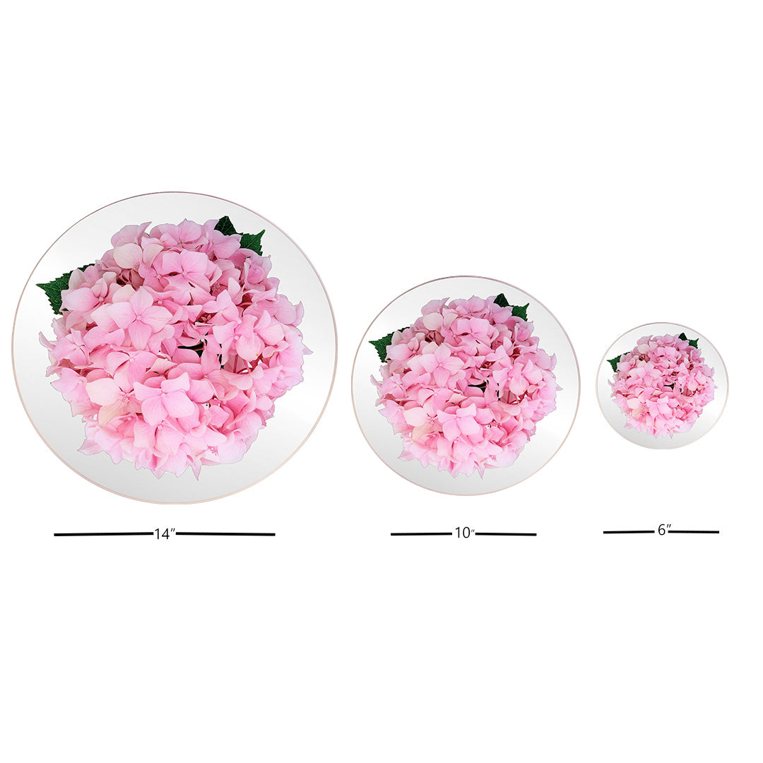 Platters - Bloom Pink Hydrangea