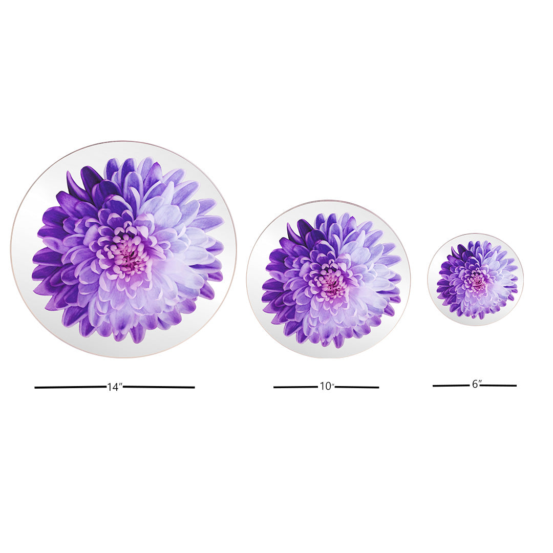 Platters - Bloom Purple Chrysanthemum