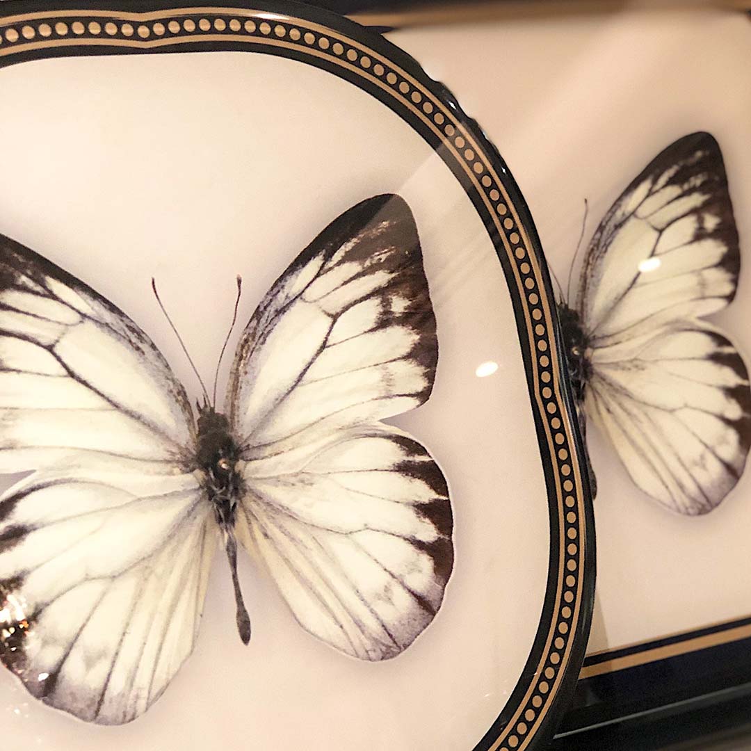 Coasters - Butterflies & Birds Queen (Set of 4)