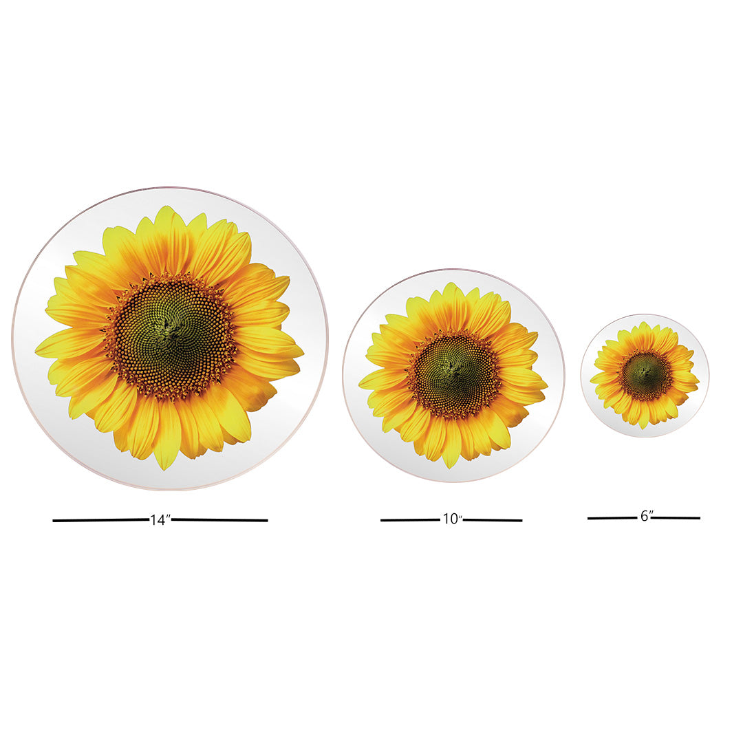Platters - Bloom Sunflower