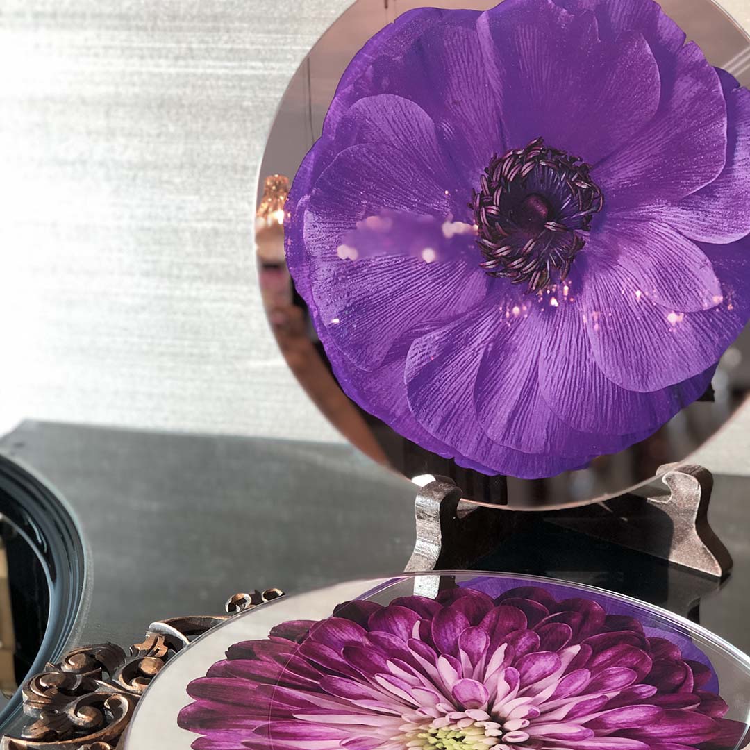 Platters - Bloom Anemone