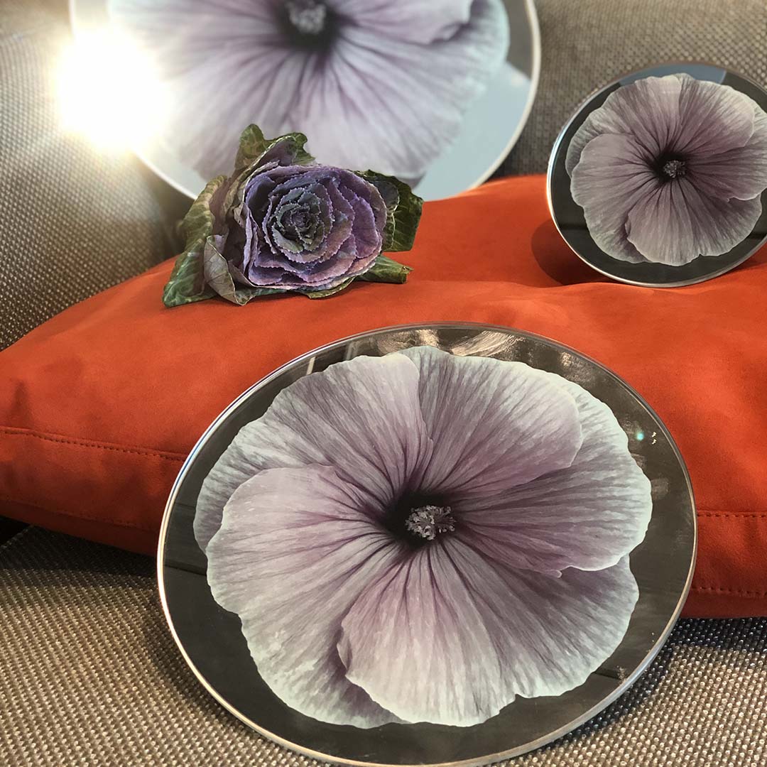 Platters - Bloom Purple Mallow