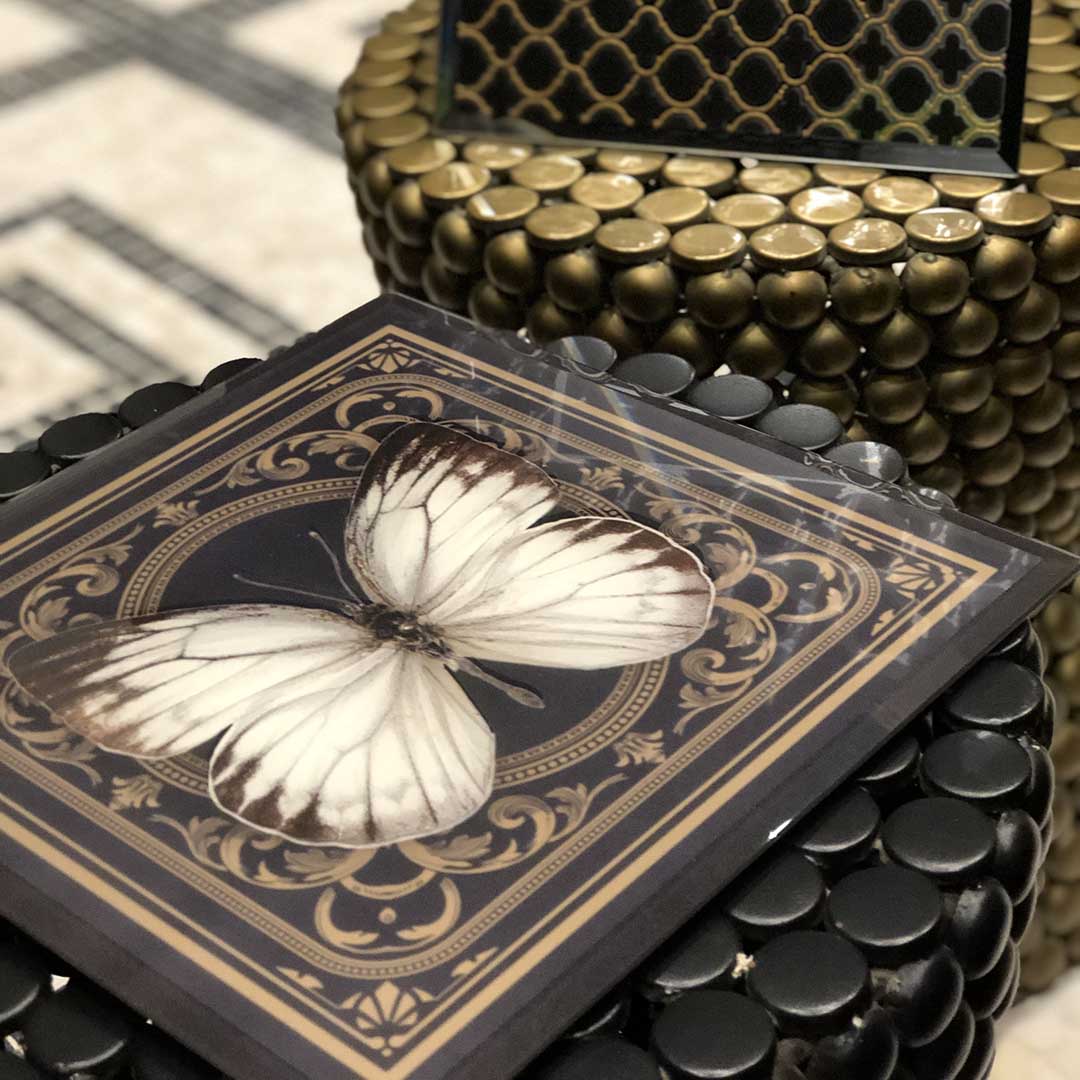 Coasters - Butterflies & Birds Deme (Set of 4)