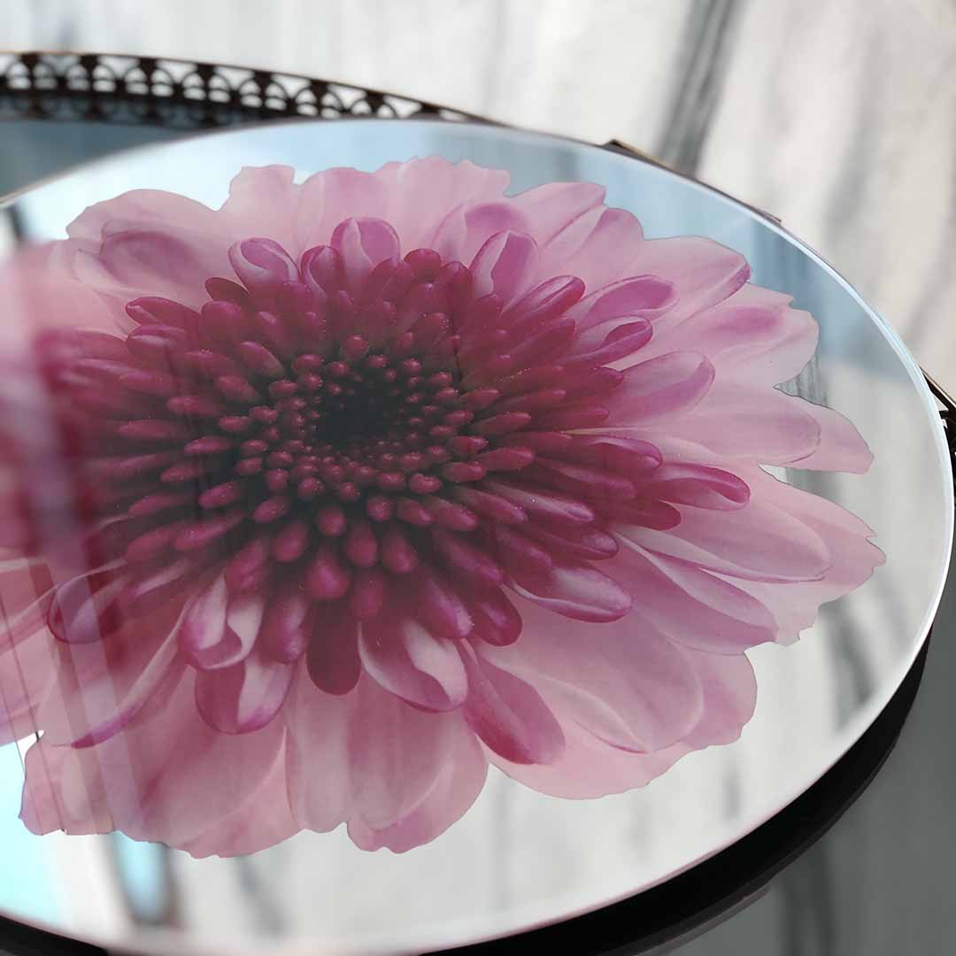 Platters - Bloom Pink Chrysanthemum