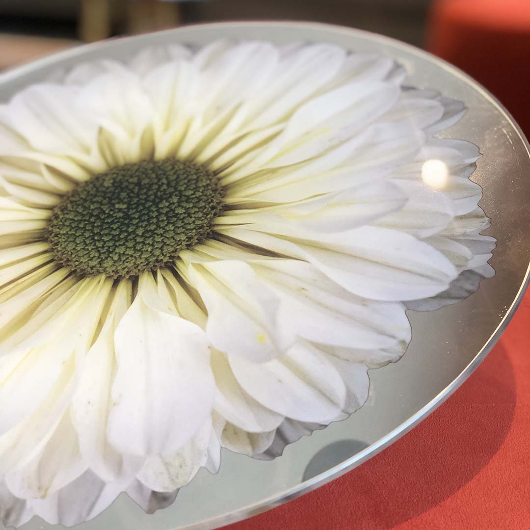 Platters - Bloom White Chrysanthemum