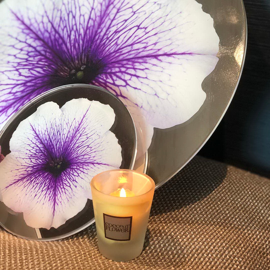 Platters - Bloom Petunia