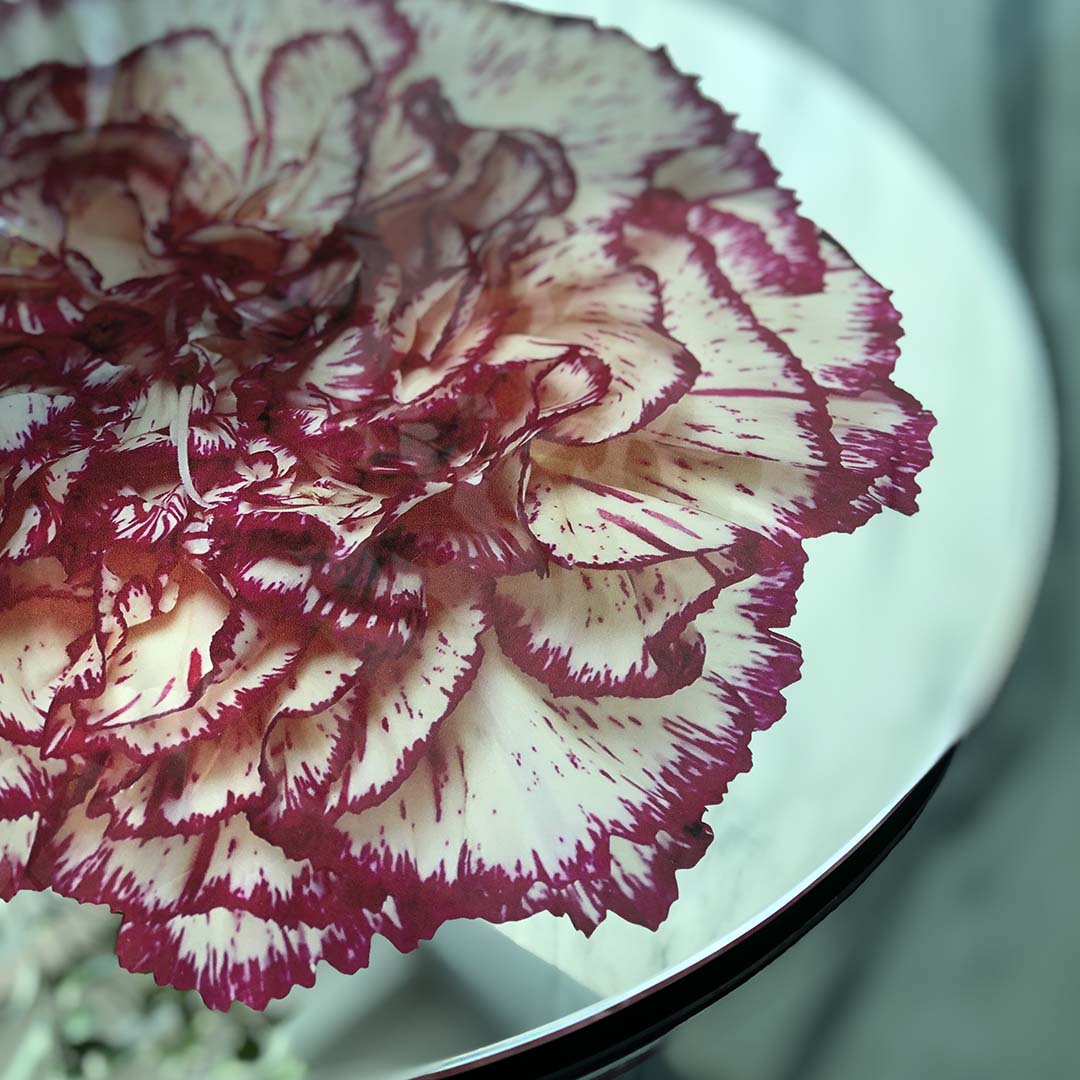 Platters - Bloom Carnation