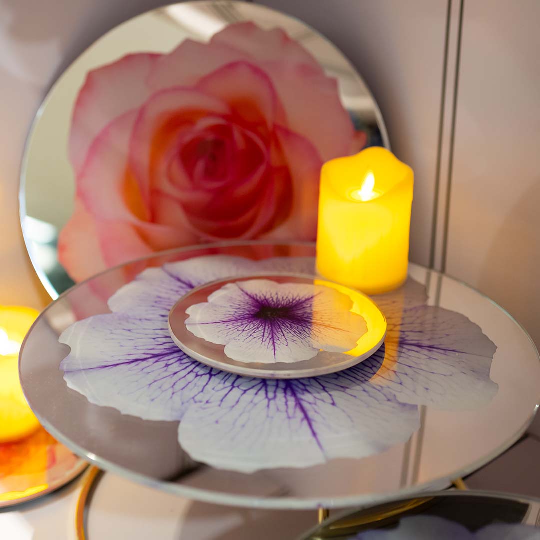 Platters - Bloom Petunia