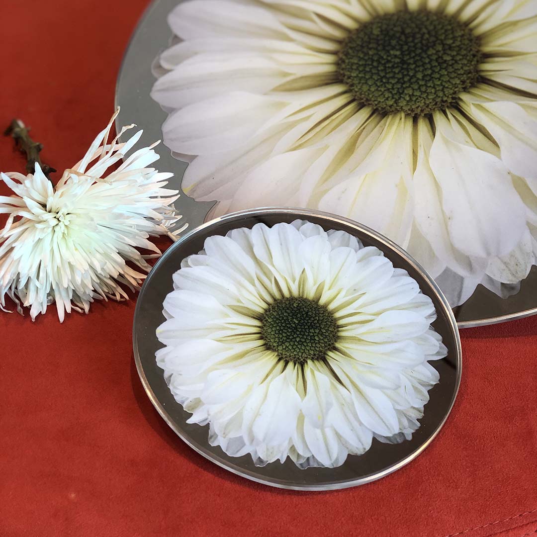 Platters - Bloom White Chrysanthemum