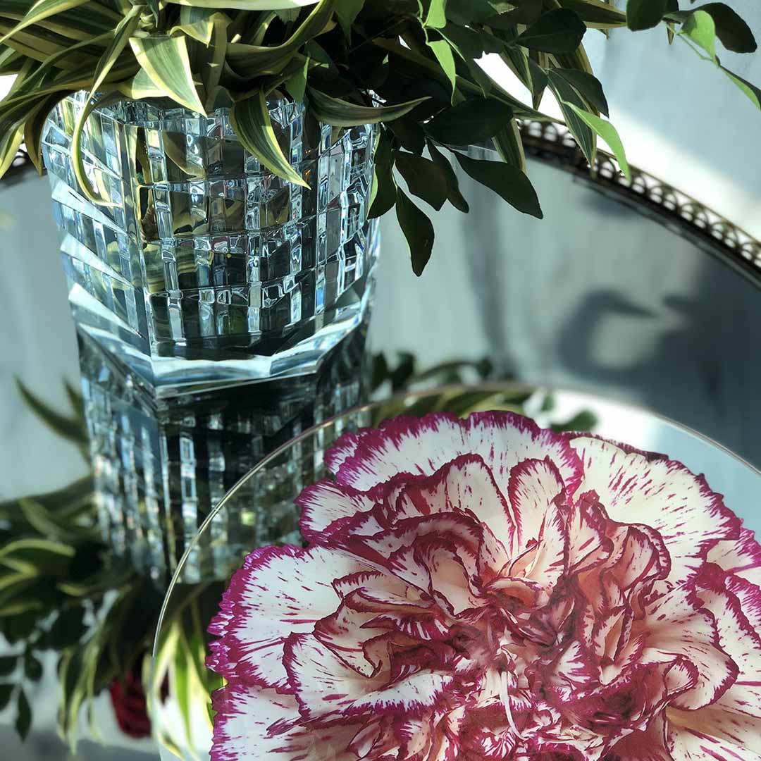 Platters - Bloom Carnation