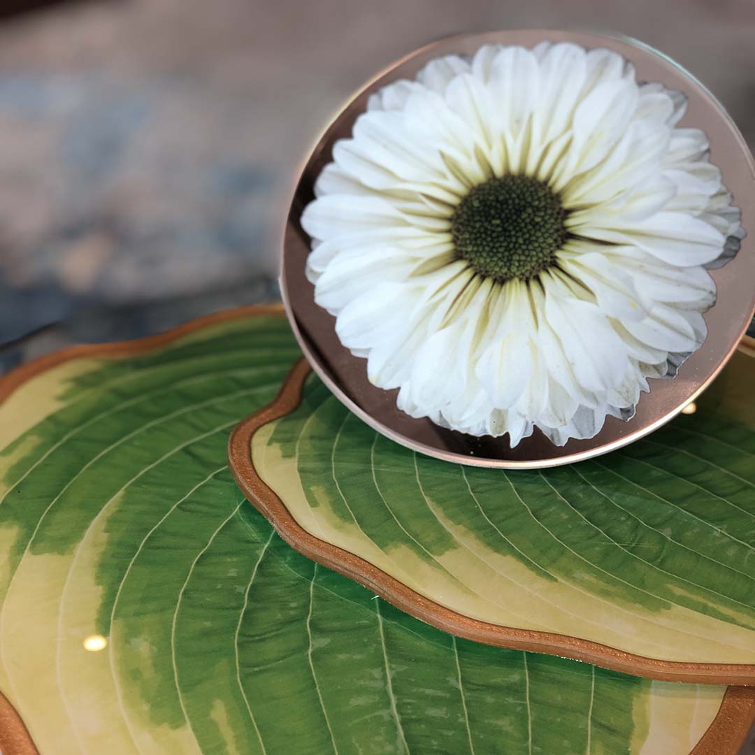 Platters - Bloom White Chrysanthemum