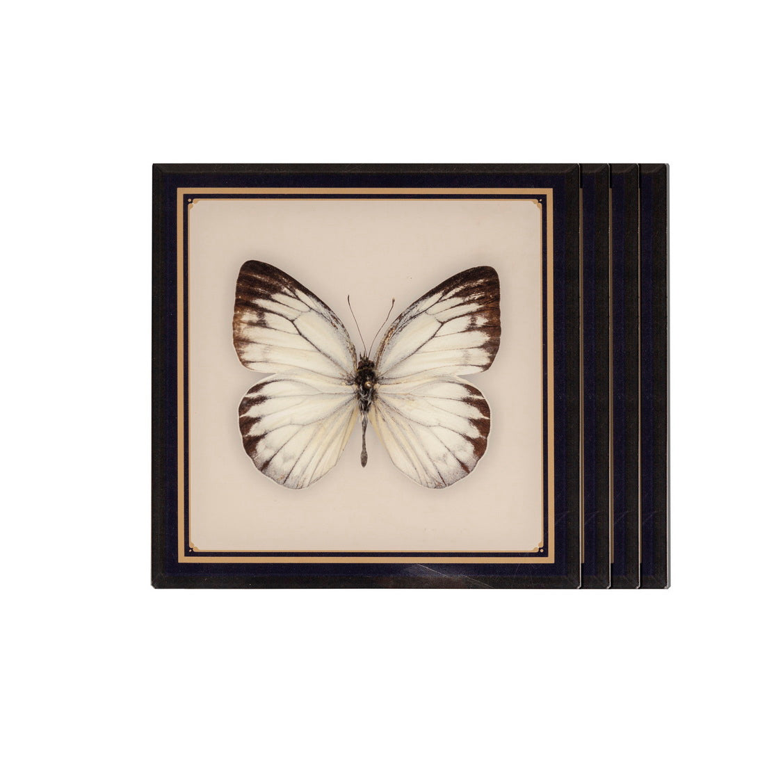 Coasters - Butterflies & Birds Victorie (Set of 4)