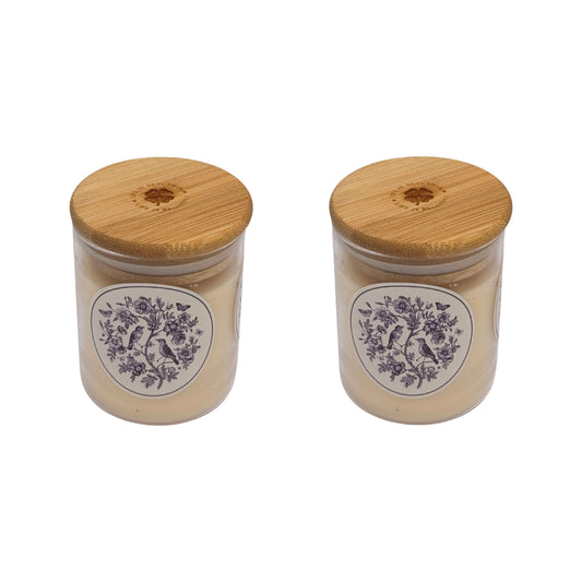 Candles - India Inspired Birds (Set of 2)
