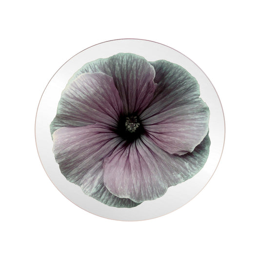 Platters - Bloom Purple Mallow