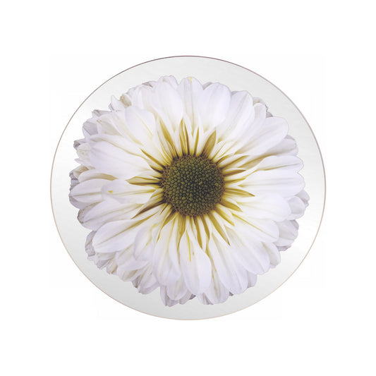 Platters - Bloom White Chrysanthemum