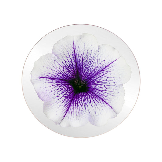 Platters - Bloom Petunia