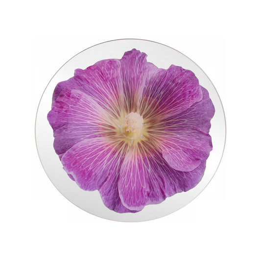 Platters - Bloom Pink Mallow