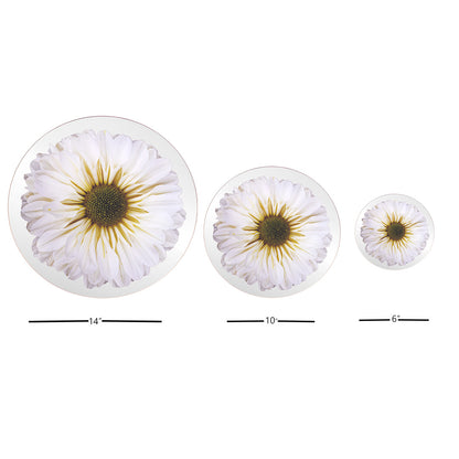 Platters - Bloom White Chrysanthemum