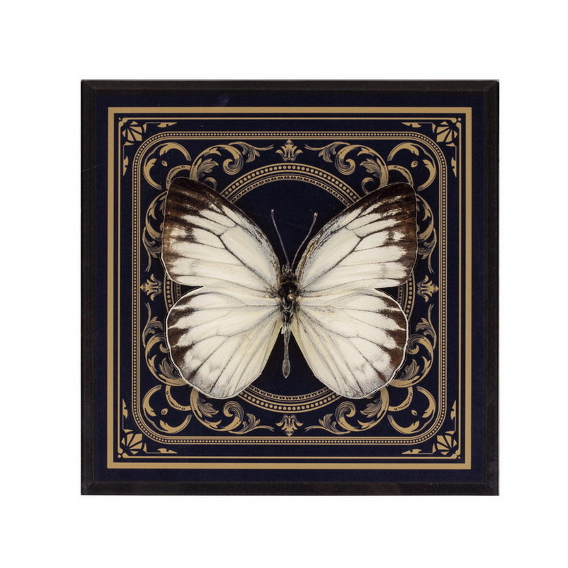 Platter - Butterflies & Birds Deme
