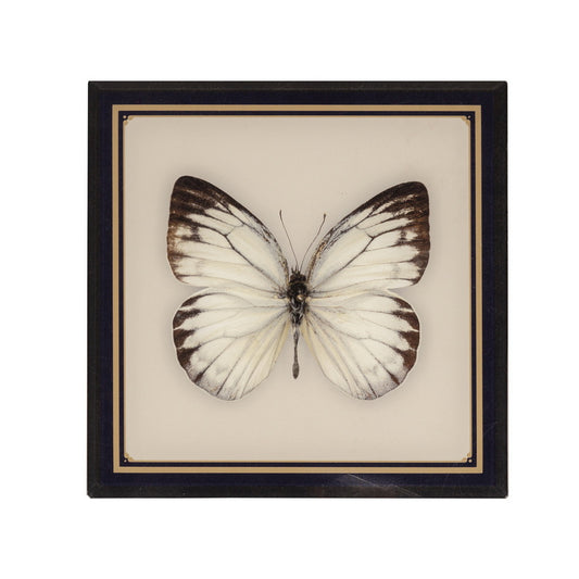 Platter - Butterflies & Birds Victorie