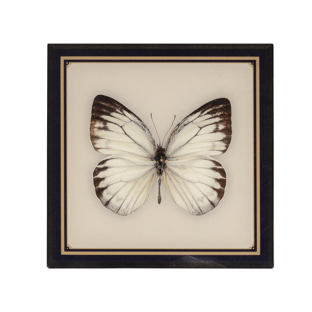 Platter - Butterflies & Birds Victorie