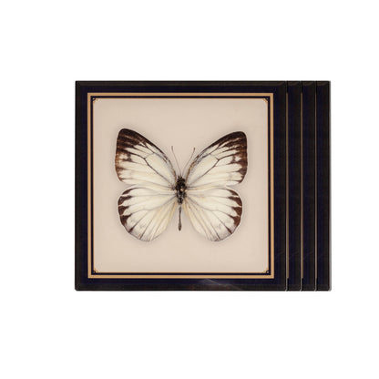Coasters - Butterflies & Birds Victorie (Set of 4)