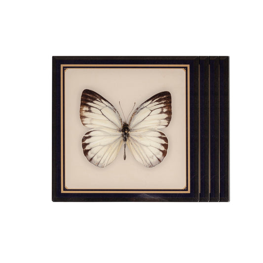 Coasters - Butterflies & Birds Victorie (Set of 4)
