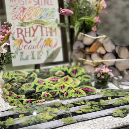 Platter - Classic Glass Mirror Fence