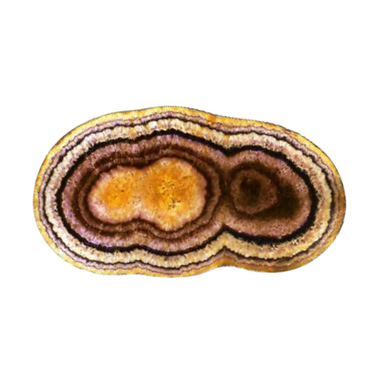 Platters - Coastal Gems Colour Blobs Amber